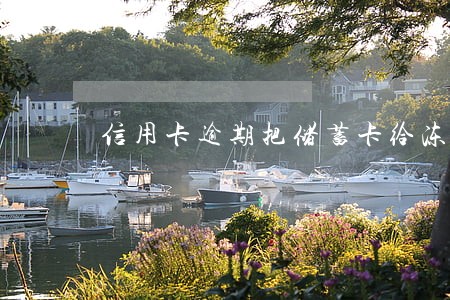 信用卡逾期把储蓄卡给冻结了 信用卡逾期把储蓄卡给冻结了