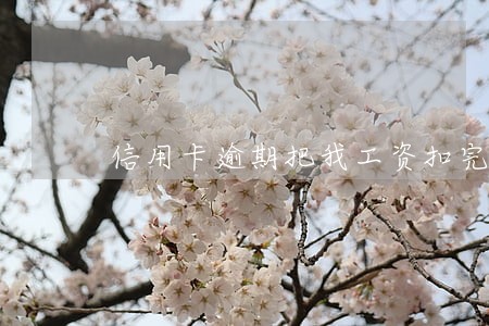 信用卡逾期把我工资扣完了