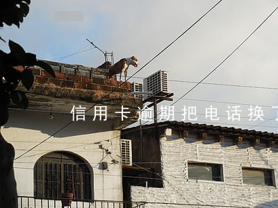信用卡逾期把电话换了 信用卡逾期把电话换了
