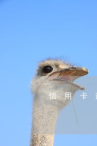信用卡逾期把车子过户给亲姐姐 信用卡逾期把车子过户给亲姐姐
