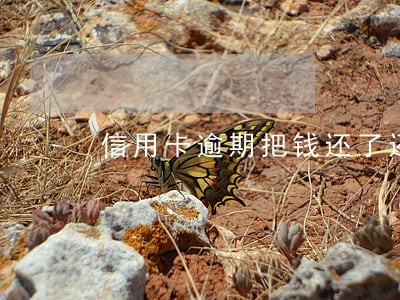 信用卡逾期把钱还了还有事吗 信用卡逾期把钱还了还有事吗