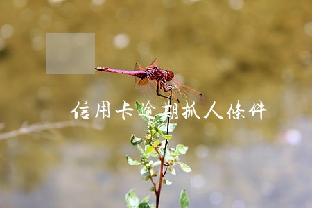 信用卡逾期抓人条件 信用卡逾期抓人条件