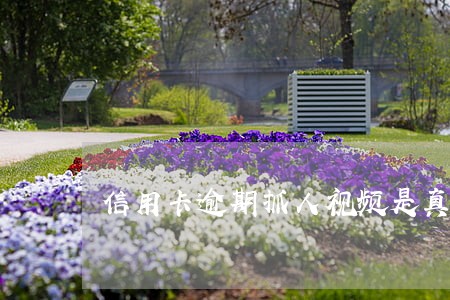 信用卡逾期抓人视频是真的吗 信用卡逾期抓人视频是真的吗