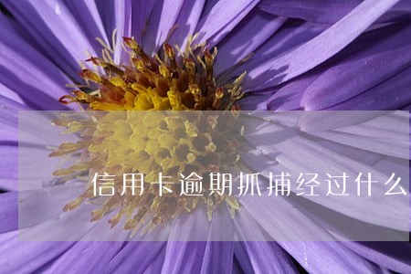 信用卡逾期抓捕经过什么程序 信用卡逾期抓捕经过什么程序