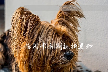 信用卡逾期抓捕通知 信用卡逾期抓捕通知