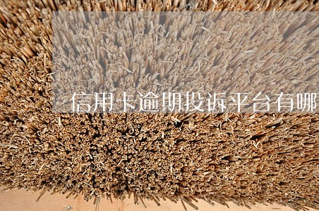 信用卡逾期投诉平台有哪些 信用卡逾期投诉平台有哪些