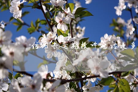信用卡逾期投诉电话是多少 信用卡逾期投诉电话是多少