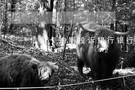 信用卡逾期投诉银行银行和我协商 信用卡逾期投诉银行银行和我协商