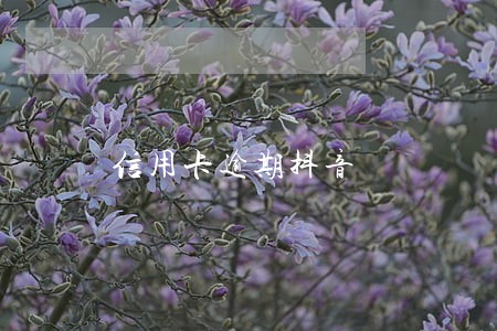 信用卡逾期抖音 信用卡逾期抖音