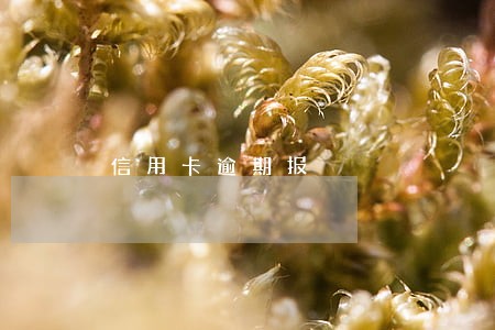 信用卡逾期报