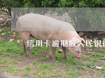 信用卡逾期报人民银行 信用卡逾期报人民银行