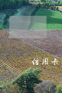 信用卡逾期报到公安后怎么办