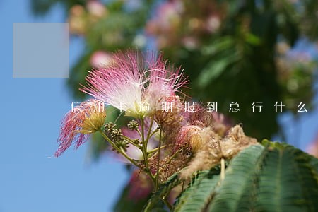 信用卡逾期报到总行什么结果 信用卡逾期报到总行什么结果