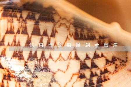 信用卡逾期报到金融库 信用卡逾期报到金融库