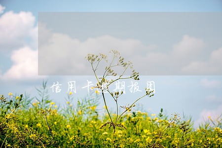 信用卡逾期报团 信用卡逾期报团