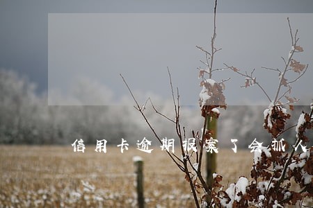信用卡逾期报案了会抓人吗 信用卡逾期报案了会抓人吗