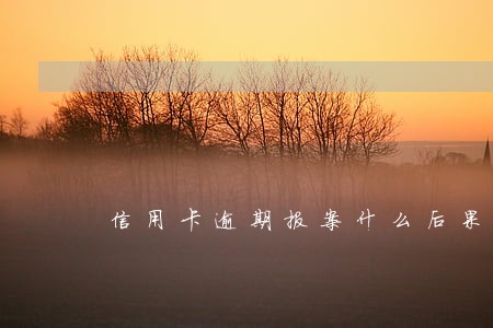 信用卡逾期报案什么后果