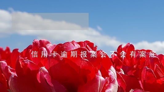信用卡逾期报案会不会有案底 信用卡逾期报案会不会有案底