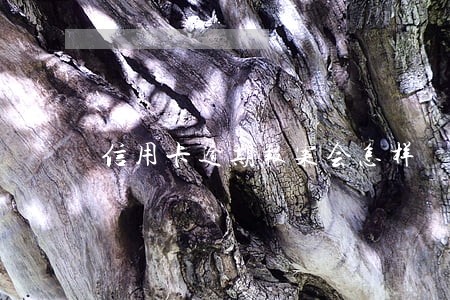 信用卡逾期报案会怎样 信用卡逾期报案会怎样