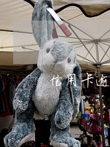 信用卡逾期报案会报哪个部门 信用卡逾期报案会报哪个部门