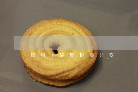 信用卡逾期报案公安