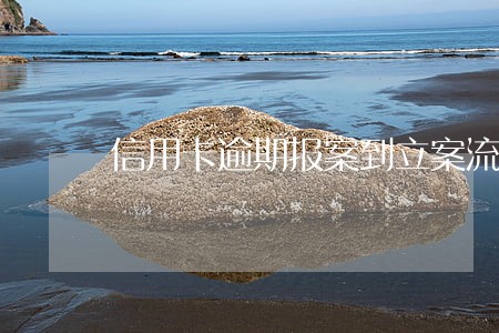 信用卡逾期报案到立案流程 信用卡逾期报案到立案流程