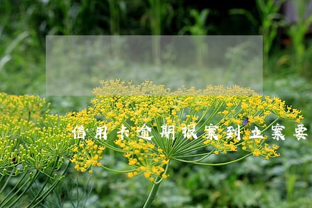 信用卡逾期报案到立案要多久 信用卡逾期报案到立案要多久