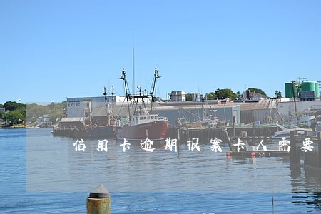 信用卡逾期报案卡人需要准备什么 信用卡逾期报案卡人需要准备什么