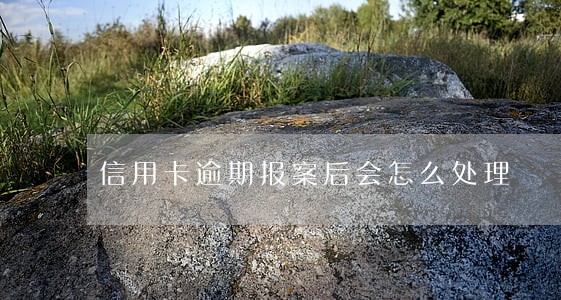 信用卡逾期报案后会怎么处理 信用卡逾期报案后会怎么处理