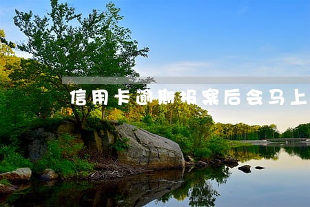 信用卡逾期报案后会马上抓人吗