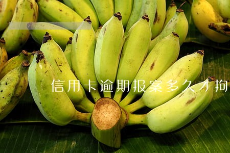 信用卡逾期报案多久才拘留 信用卡逾期报案多久才拘留