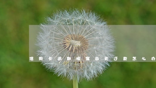 信用卡逾期报案当天还款怎么办 信用卡逾期报案当天还款怎么办