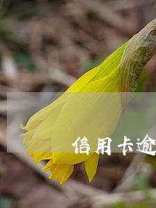 信用卡逾期报案怎么办 信用卡逾期报案怎么办