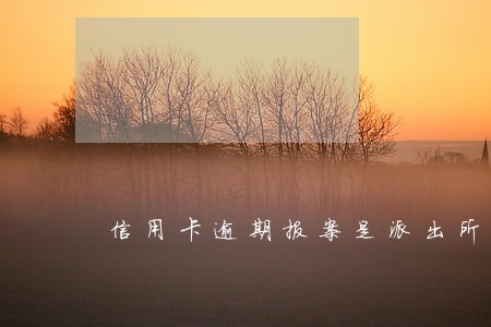 信用卡逾期报案是派出所管吗 信用卡逾期报案是派出所管吗