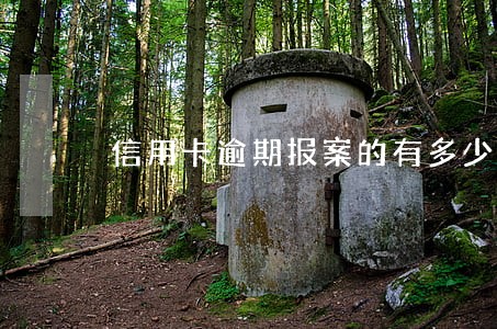 信用卡逾期报案的有多少 信用卡逾期报案的有多少