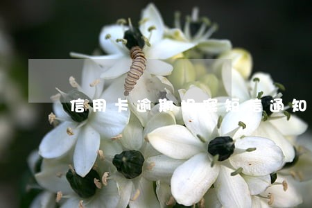 信用卡逾期报案短信通知吗