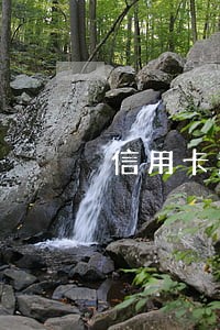 信用卡逾期报案经侦大队能立案吗 信用卡逾期报案经侦大队能立案吗