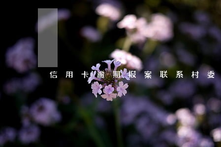 信用卡逾期报案联系村委会 信用卡逾期报案联系村委会