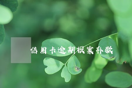 信用卡逾期报案补救 信用卡逾期报案补救
