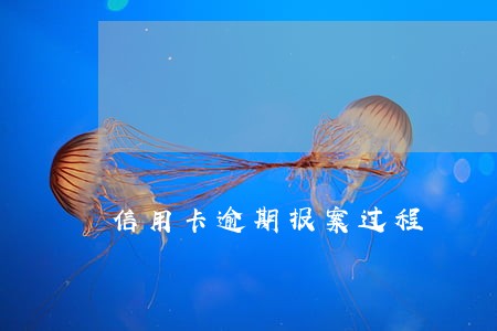 信用卡逾期报案过程
