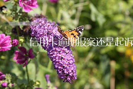 信用卡逾期报案还是起诉