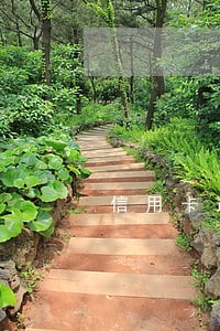 信用卡逾期报案通知真的吗 信用卡逾期报案通知真的吗