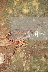 信用卡逾期报经侦后多久抓人