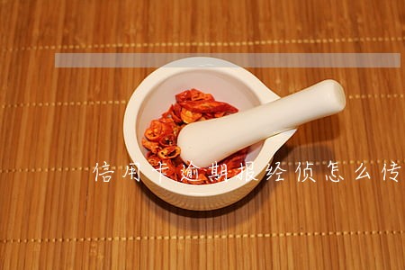 信用卡逾期报经侦怎么传唤