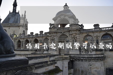 信用卡逾期报警可以查吗 信用卡逾期报警可以查吗