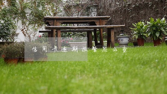 信用卡逾期报警怎么查 信用卡逾期报警怎么查