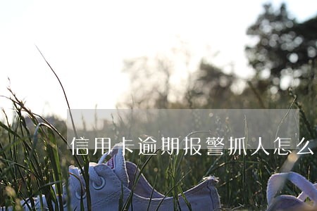 信用卡逾期报警抓人怎么办 信用卡逾期报警抓人怎么办