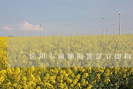 信用卡逾期报警是立即拘留