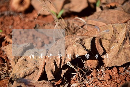 信用卡逾期报警有用 信用卡逾期报警有用
