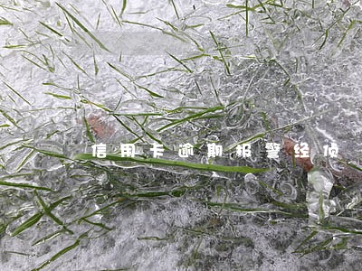 信用卡逾期报警经侦